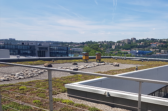 AVEM participe à la sauvegarde de la biodiversité