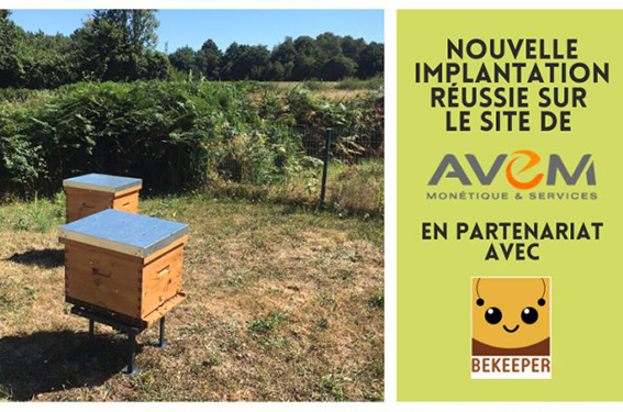Deux nouvelles ruches connectées sur notre site de Vannes