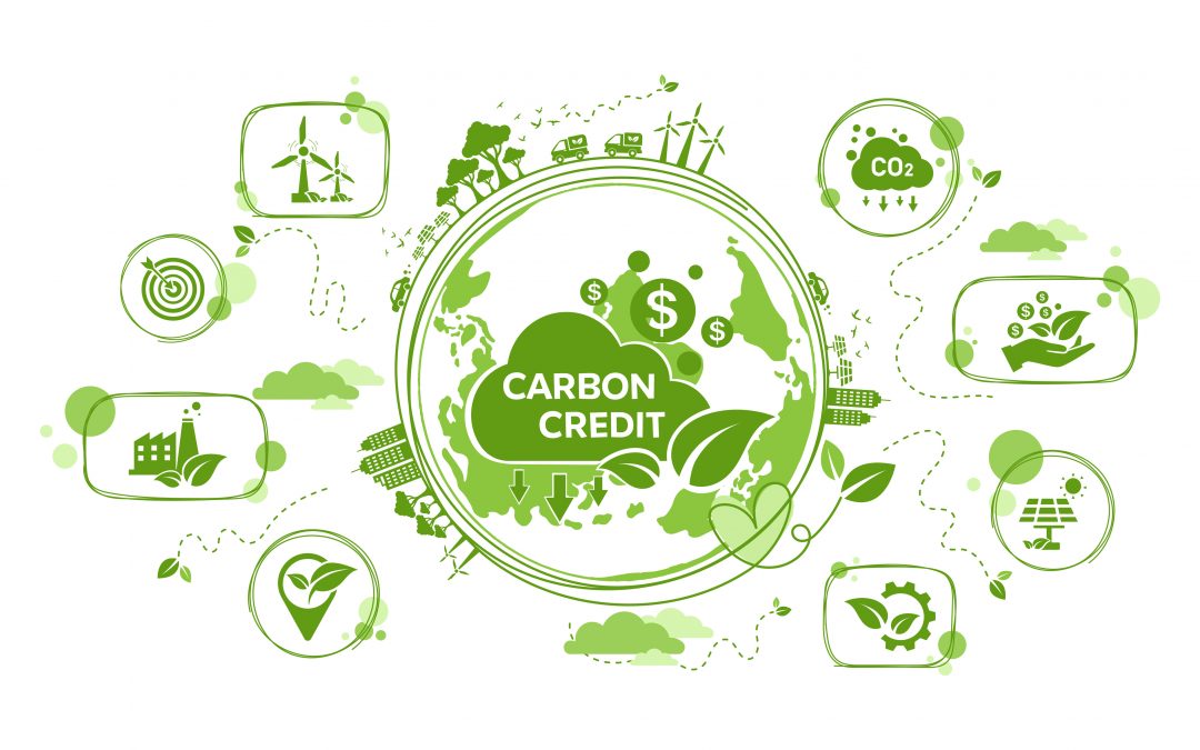 AVEM s’engage sur la réduction de son empreinte carbone