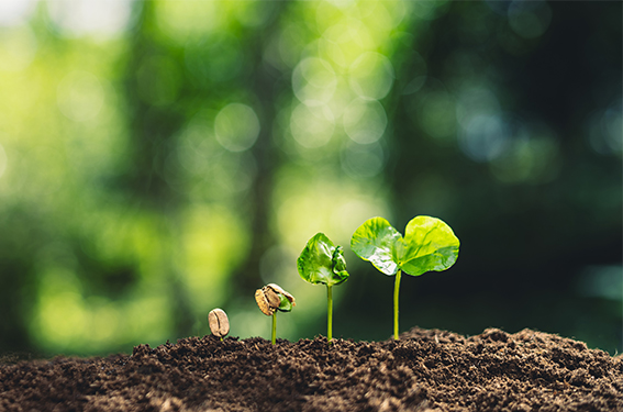 2023, une année riche en actions RSE !