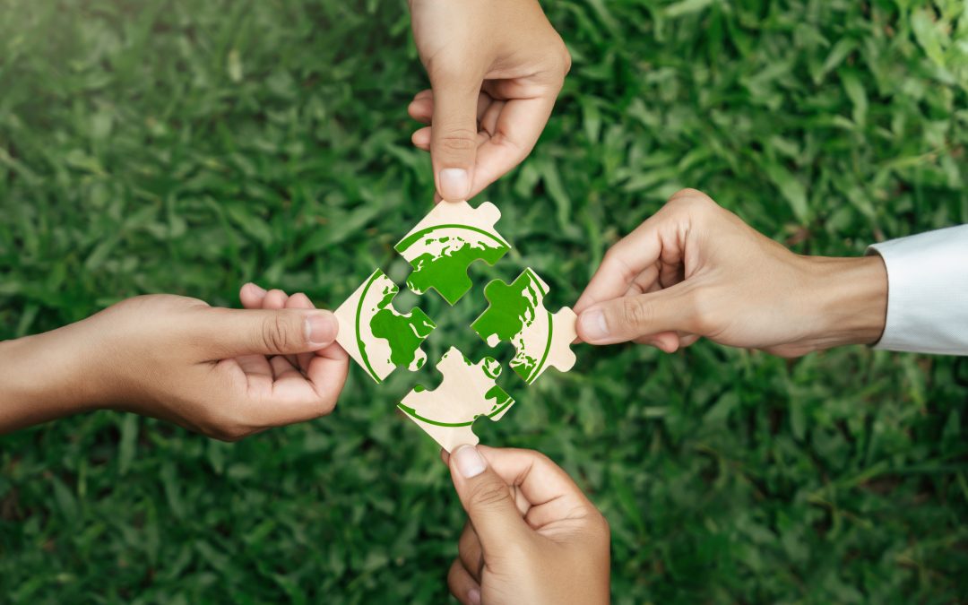 La RSE chez AVEM en 2024 c’était…