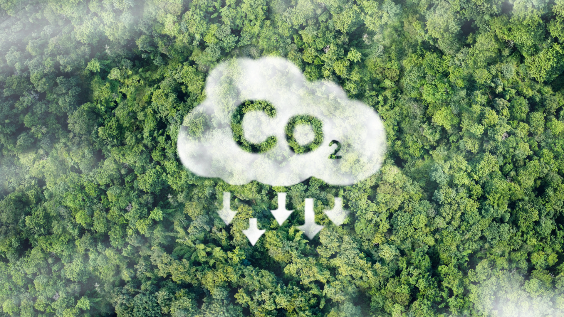 bilan-carbone-2024-groupe-AVEM